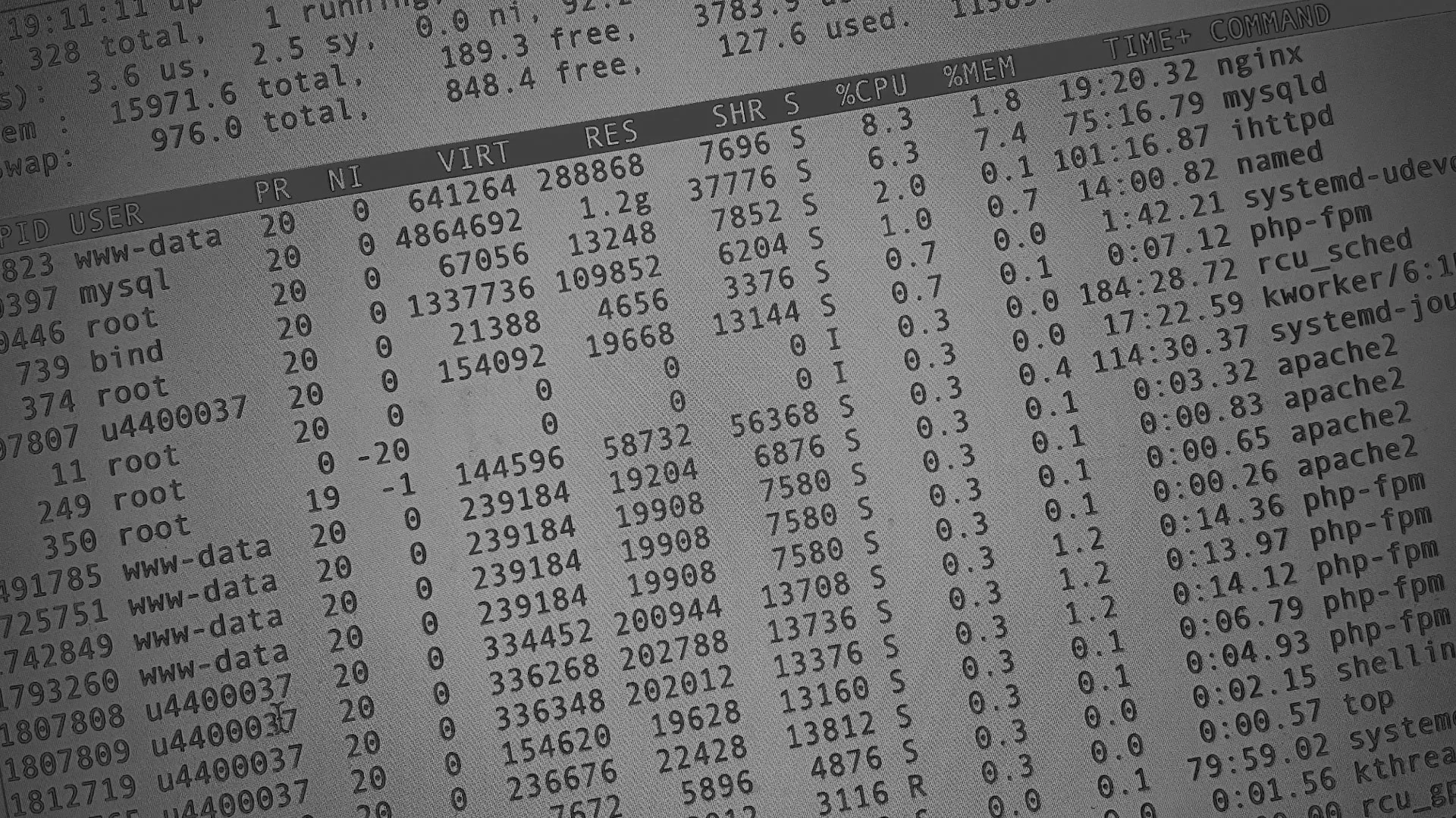 Настройка сервера в Саратове