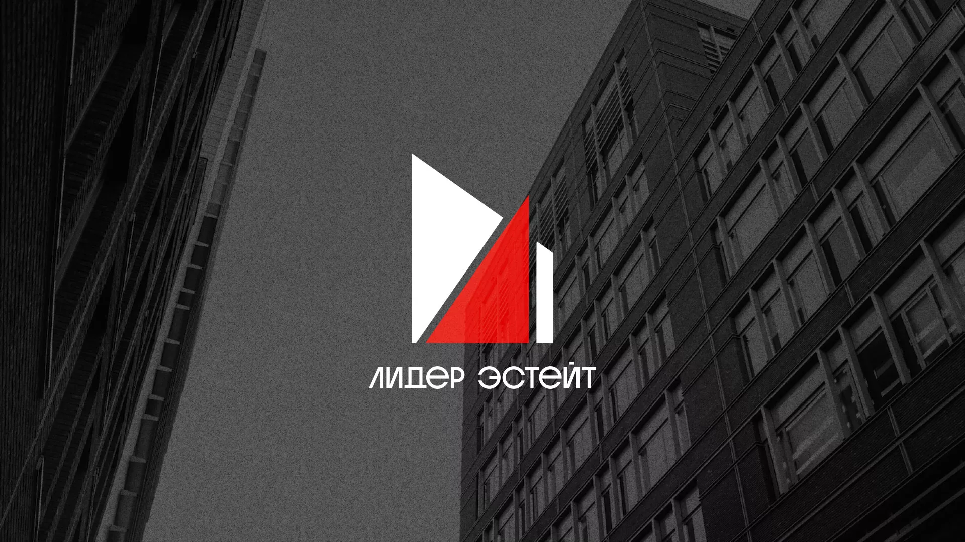 Сделали логотип для агентства недвижимости «Лидер Эстейт» в Саратове